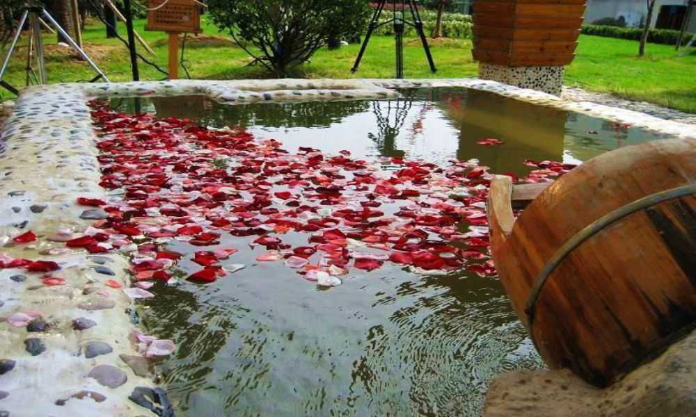 温泉花卉植物养生区