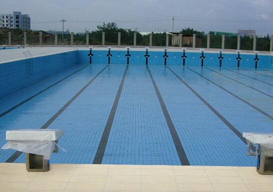 泳池砖